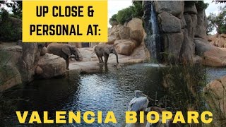 LifeinourVan visit Valencia BioParc
