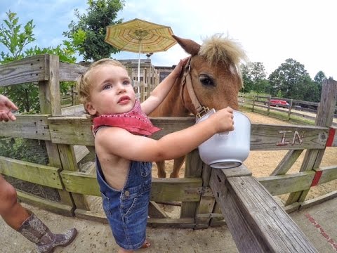 GoPro: Peyton Turns 3