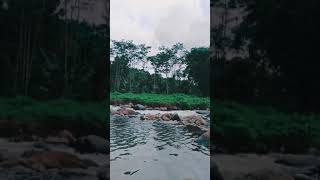 Download lagu Suara Air Sungai *untuk story WhatsApp mp3 Download lagu Suara Air Sungai *untuk story WhatsApp mp3