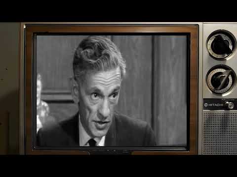 Behind the Curtain: Exposing the Hidden Secrets of Honey West TV Series!