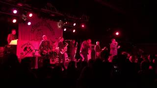 The Mighty Mighty Bosstones - That Bug Bit Me(Live): Starland Ballroom 7/29/2017