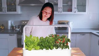 Is THIS the Future of Gardening? 🌱