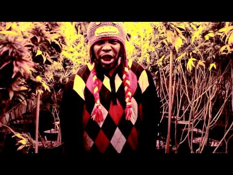 Dubskin Herb Healer Official Music Video