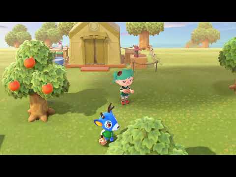 Bam hates my Ocarina playing