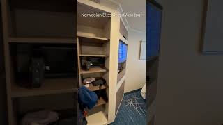 Norwegian Bliss OceanView cabin #travel #cruise #norwegian