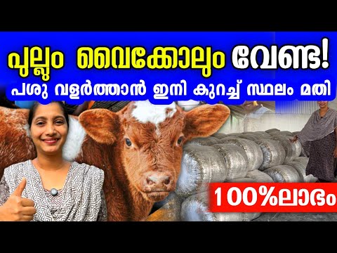 Corn Silage Manufacturing Video