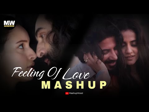 Feeling Of Love Mashup 2024 | Trending Bollywood Love Mashup 2024 | Vishal Mishra | MashupWood