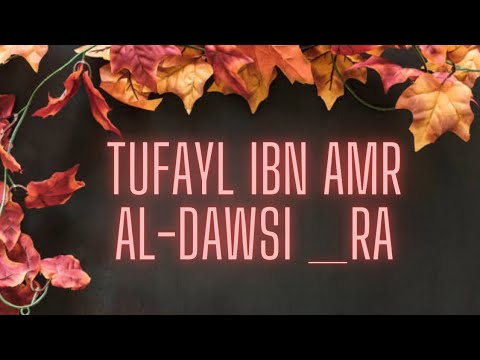 Al-Tufayl ibn Amr al-Dawsi _Ra | chief of the Banu Daws tribe_Poet |Star's of universe |