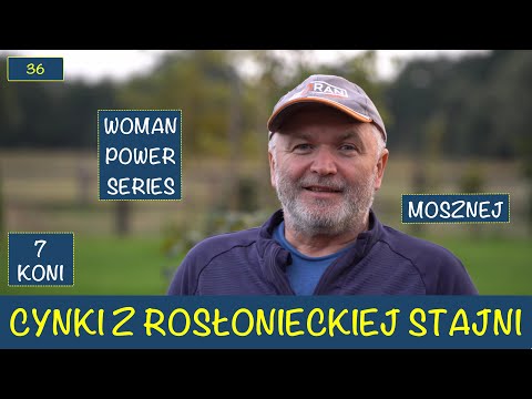 Cynki z Rosłonieckiej Stajni Nagroda Mosznej Woman Power Series Dzień Wielka Warszawska