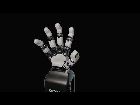 ORCA Hand Review Video 1
