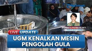 Pengabdian UGM Tingkatkan Mutu Gula Semut Banyumas, Kenalkan Kristalisator dan Evaporator ke Perajin