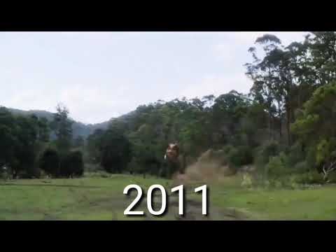 Carnotaurus of Evolution 2000~2020