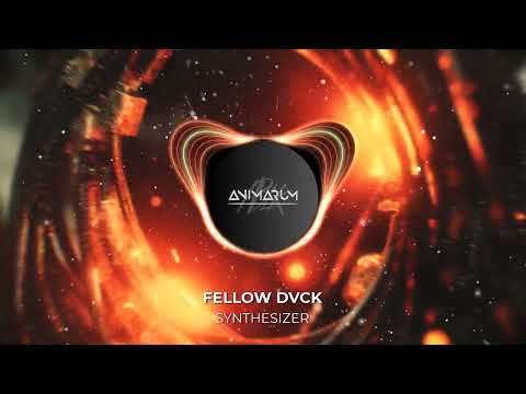 Fellow Dvck - Synthesizer