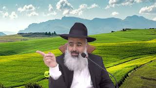 היה מאחר בכל בוקר לתפילה בגלל ש...? סיפור מקסים על אדם חכם מאוד