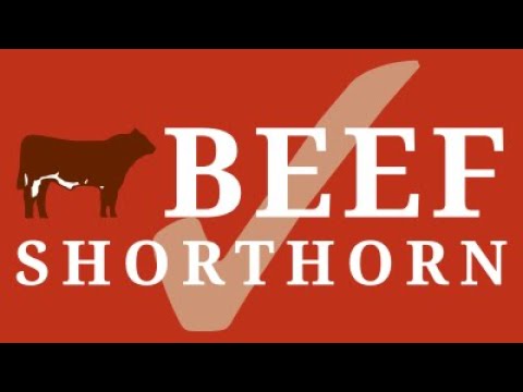 , title : 'Beef Shorthorn Judging Highlights Royal Highland Show 22nd June 2023'