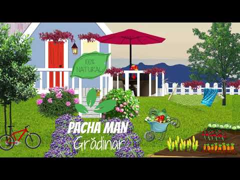 Pacha Man - Gradinar (Official Audio)