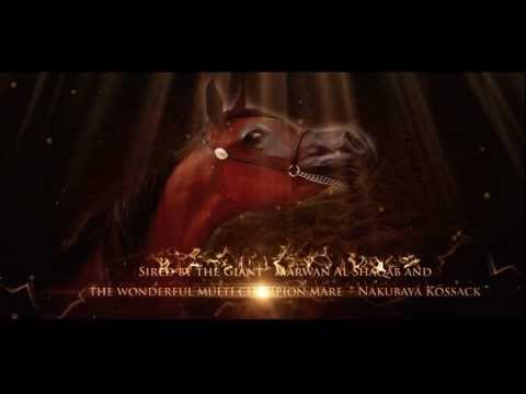 Mirwanah Kalliste European version.mp4