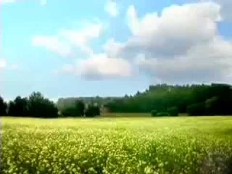 Zhazhda skorosti wap sefan ru