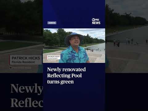 Newly renovated Reflecting Pool turns green