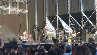 Shinova. Mirlo blanco.