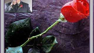 Juan Gabriel - Esta rosa roja (en concierto)