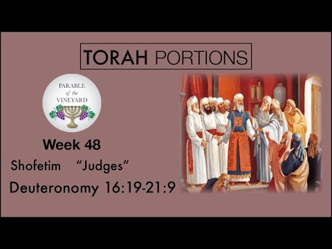 Torah Portions - Week 48 - Shofetim | שֹׁפְטִים l “Judges” - W/ Parable of the Vineyard
