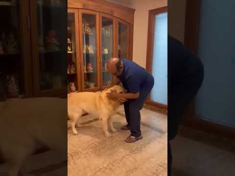 Former Minister Jayakumar plays with his pet dog #tnpolitics #aiadmk