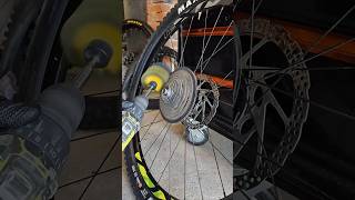 A story of a fully that was used till the wheels fell off...