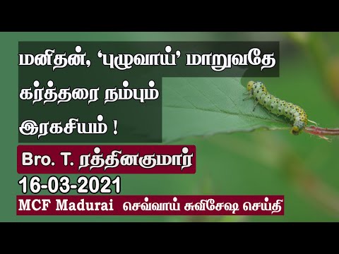 Man, Becoming 'Worm' is the Secret of Trusting God ! | MCF Madurai Tuesday Gospel - 16.03.2021