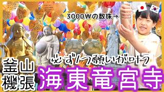 仏様生誕祭!釜山のパワースポット必ず願いが叶う?!機張・海東龍宮寺に釜山在住者が行ってみた【韓国在住・日韓夫婦・한일부부】