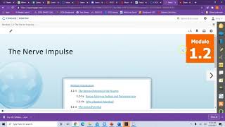 Psy 260 Technology Tutorial Spring 2021