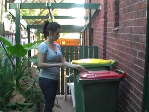 RED Carpet Youth Awards Launch Video