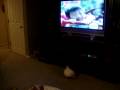 My Baby Loves Sesame Street