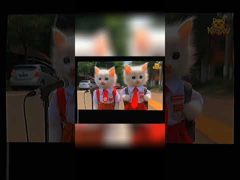 ANIMATED CATS SINGING RAHMATUN POEM LIL'ALAMEEN KITTYDAY GEMOY COLORFUL CATS
