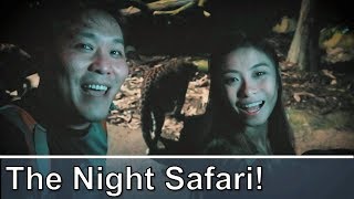 Night Safari Singapore