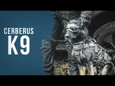 CERBERUS K9 2025 — Główna relacja