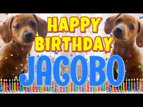 Happy Birthday Jacobo! ( Funny Talking Dogs ) What Is Free On My Birthday