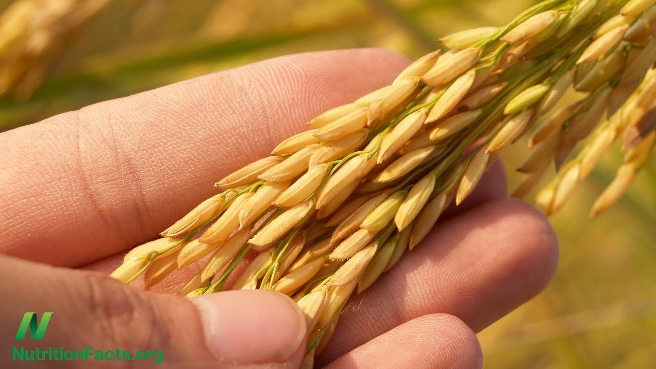 How Much Arsenic in Rice Is Too Much? - YouTube