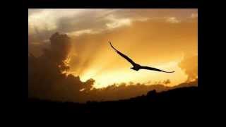 Canti Religiosi - Su ali d'aquila