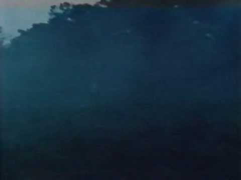 Famous Five - 10  Five go to mystery moor  Part  3