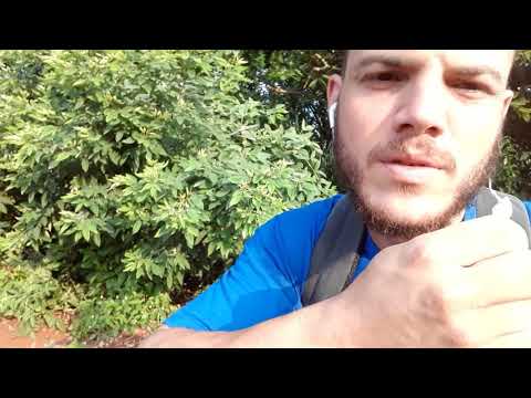 Eu estou mais perto do meu sonho do que ontem 02/02/2020