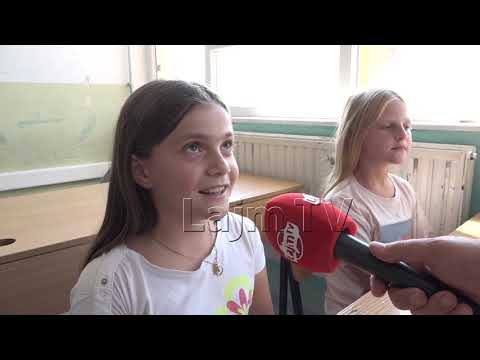 2000 nxënës më pak për pesë dekada, ku po shkojnë fëmijët e Çegranit të Gostivarit?