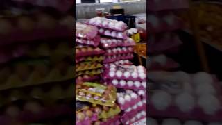 Uçar Ticaret