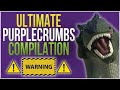 THE ULTIMATE PURPLECRUMBS COMPILATION!!! VINE | INSTAGRAM | TIKTOK VIDEOS!!