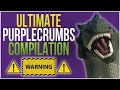 THE ULTIMATE PURPLECRUMBS COMPILATION!!! VINE | INSTAGRAM | TIKTOK VIDEOS!! - PurpleCrumbs THE ULTIMATE PURPLECRUMBS COMPILATION!!! VINE | INSTAGRAM | TIKTOK VIDEOS!!
