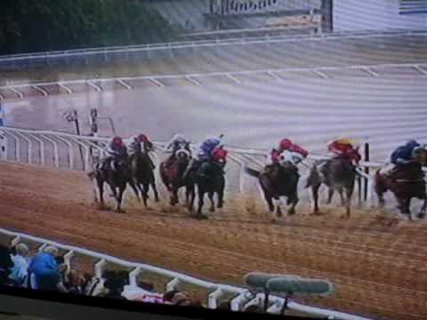 Tertio Bloom Upploppet 2009-08-09 Zawawi Cup