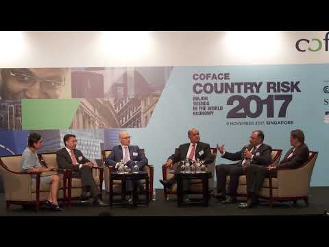 2017 Coface Country Risk Conference - Panel Discussion Two