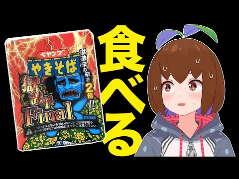  極激辛Finalの先にみえたもの 【ペヤング】