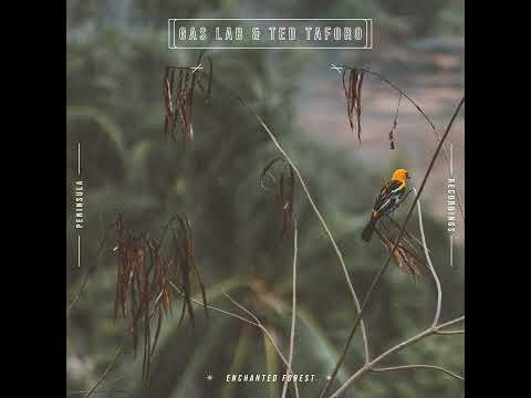 Peninsula and Gas Lab