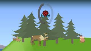 Scholastic - Study Jams - Carbon Cycle